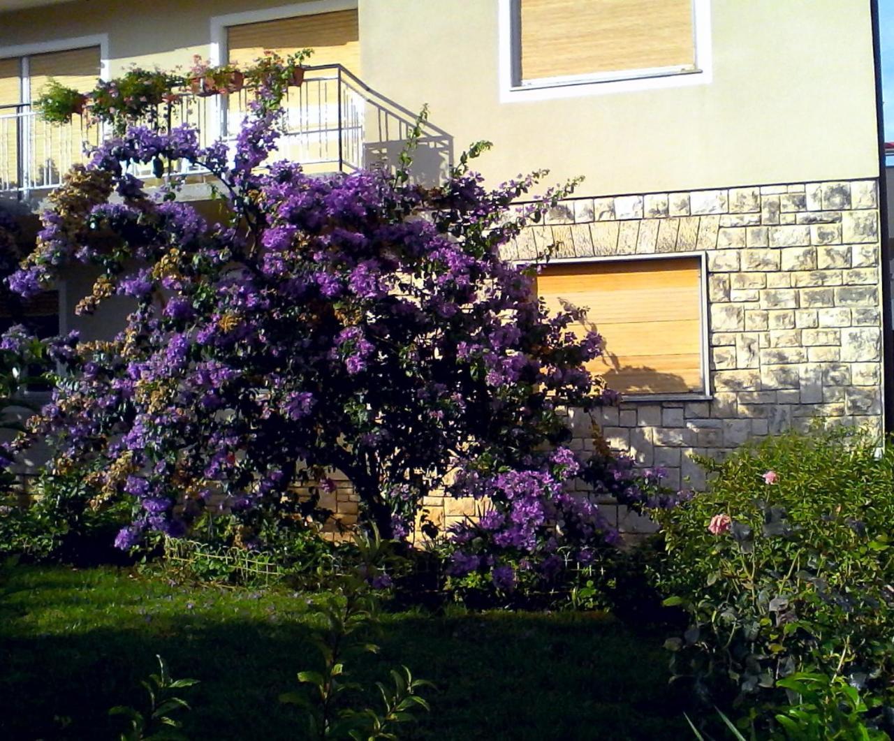 Sweet Apartment In Pomer Εξωτερικό φωτογραφία